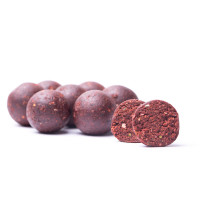 Soluble bait boilies SQUID / BLOODWORM